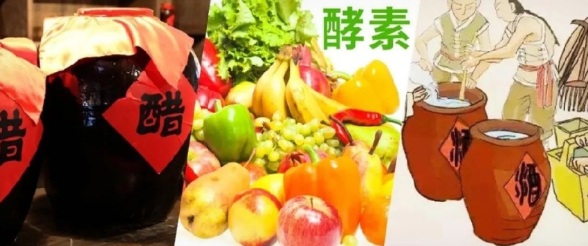 酒、醋、酵素同源異趣的發酵藝術